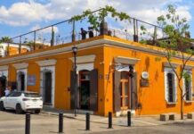 Van contra terrazas irregulares en la capital