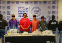 Cae presunta célula de narcomenudeo en San José del Pacífico; aseguran más de 300 dosis de droga