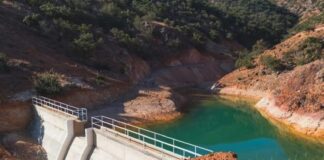 Frenan presa ilegal en Oaxaca: clausuran obras que dañaron más de 4 mil m² 🌱💧