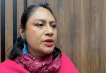 Diputada Irma Pineda exige revisión de ductos de Pemex tras explosión en el Istmo