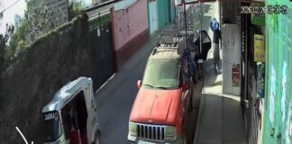 MOTOTAXISTA ATROPELLA A PERRITA Y HUYE DEL LUGAR