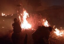 🔥 Gobernador instruye atención inmediata por incendio en cerro de Santa Anita