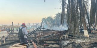 Pérdidas en Zicatela superan los 31 millones de pesos; gobierno activa plan de apoyo