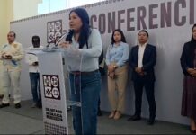 Blindaje en el Congreso: tras retención de alcaldesa y toma del Congreso, diputados anuncian filtros y revisiones de ingreso