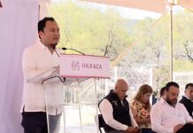 IEEPO iniciará recepción de 1,392 expedientes para plazas; paro de Sección 22 responde a demanda federal