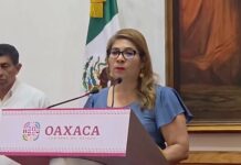 ¡Oaxaca bajo fuego! 98 incendios forestales han consumido más de 14 mil hectáreas