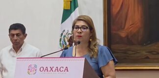 ¡Oaxaca bajo fuego! 98 incendios forestales han consumido más de 14 mil hectáreas