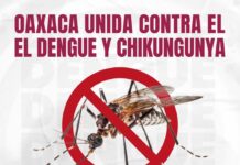 Llama SSO a fortalecer acciones de prevención de reproducción del mosco transmisor del dengue