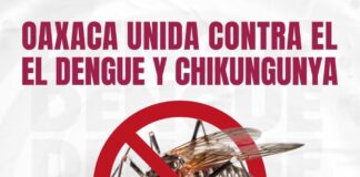 Llama SSO a fortalecer acciones de prevención de reproducción del mosco transmisor del dengue