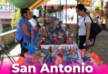 ¡Descubre la cuna de los alebrijes en San Antonio Arrazola!