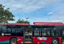 BinniBus impulsa a empresarios a mejorar el servicio