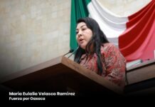 Presentan iniciativa para incorporar un enfoque integral para el control poblacional de perros y gatos