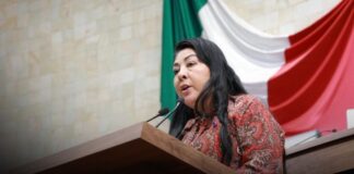 Presentan iniciativa para incorporar un enfoque integral para el control poblacional de perros y gatos