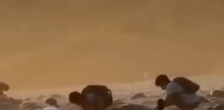 Captan saqueo de nidos de tortuga en Escobilla, santuario protegido de Oaxaca