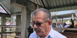 Entrega de aretes ganaderos en la Cuenca del Papaloapan fortalece al sector pecuario: diputado Raynel Ramírez