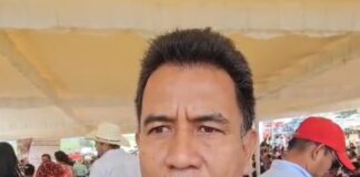 Refuerzan rastreo de enfermedades en ganado con programa de identificación en Oaxaca