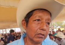 Apoyos permiten mantener producción de maíz, pero falta de maquinaria limita a productores