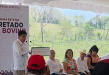 Inversión histórica fortalece trazabilidad y sanidad ganadera en Oaxaca