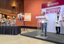 Oaxaca fortalece prevención contra dengue y chikungunya; llaman a mantener medidas en casa