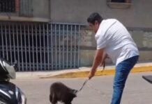 Desaparece ROCKO un lomito que fue levantado por el Ayuntamiento de Tuxtepec