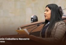 “Los problemas de México los vamos a resolver las y los mexicanos, sin tutelas ni presiones del exterior”: diputada Tania Caballero