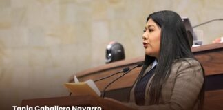 “Los problemas de México los vamos a resolver las y los mexicanos, sin tutelas ni presiones del exterior”: diputada Tania Caballero