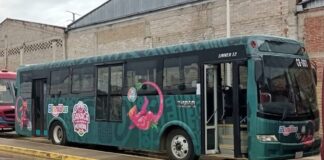 Tunean autobuses del Binni Bus con colores del mundial