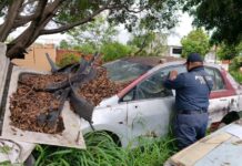 Ayuntamiento de Oaxaca retira vehículos abandonados de la vía pública