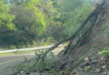 Se registra caída de piedras y ramas sobre la 190 en el tramo de Oaxaca al Istmo