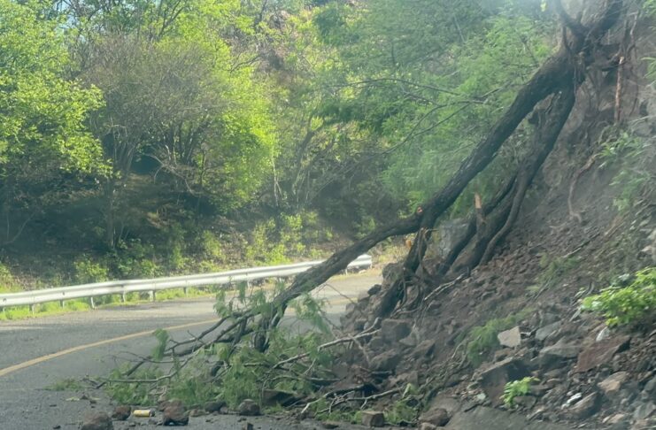 Se registra caída de piedras y ramas sobre la 190 en el tramo de Oaxaca al Istmo