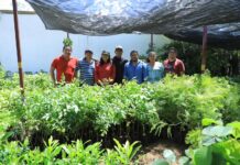 Recibe Xoxocotlán árboles para impulsar la reforestación urbana