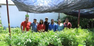 Recibe Xoxocotlán árboles para impulsar la reforestación urbana