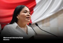 Plantean en el Poder Legislativo acciones permanentes para garantizar por ley políticas públicas contra riesgos digitales en jóvenes