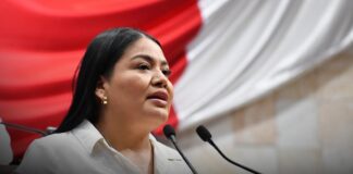 Plantean en el Poder Legislativo acciones permanentes para garantizar por ley políticas públicas contra riesgos digitales en jóvenes