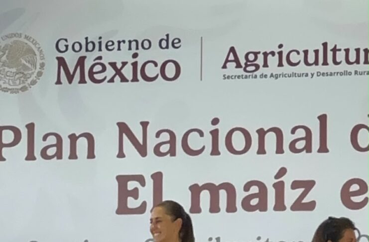 🚨📚 ¡Consiguen mesa con Sheinbaum! Sección 22 logra reunión con la Presidenta tras protesta en Suchilquitongo