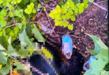 Confirman hallazgo de dos mujeres sin v1da rumbo a Ixtlán