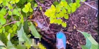 Confirman hallazgo de dos mujeres sin v1da rumbo a Ixtlán