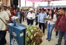 SEDECO celebra el Día del Magueyero Oaxaqueño con el concurso “La Piña de Maguey Más Pesada”