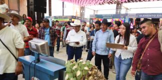 SEDECO celebra el Día del Magueyero Oaxaqueño con el concurso “La Piña de Maguey Más Pesada”