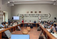 “Que investiguen hasta a mi hermano”: Salomón Jara Cruz se dice dispuesto a comparecer ante la FGR por caso Alejandro Leyva