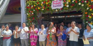 Entre aromas, sabor y tradición, Oaxaca celebra la XIX Feria del Tamal y el Tejate