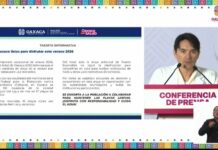 Encuentran bacterias fecales en la Playa Principal de Puerto Escondido