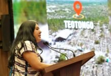 Destaca diputada Tania Caballero impacto de la Jornada Nacional de Reforestación en Oaxaca y la Mixteca