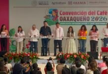 Inauguran la Convención del Café Oaxaqueño 2026