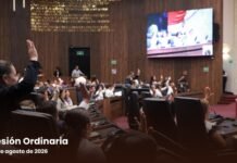 Garantiza Congreso del Estado derecho a alimentos en favor de hijas e hijos mayores de edad que continúen con su formación académica