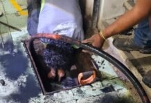 Desazolve para mantener en mejores condiciones el Zócalo capitalino