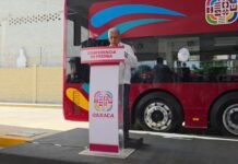 “La ganadería está bien y de buenas”: Sefader reporta 97% de casos de gusano barrenador inactivos en Oaxaca