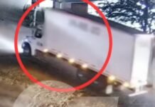 Del robo en carretera al aseguramiento de la carga: el C5i siguió la ruta de los abarrotes