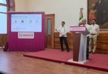 ¡OAXACA YA ES AUTOSUFICIENTE EN MAÍZ! PRODUCCIÓN RÉCORD ALCANZA 819 MIL TONELADAS