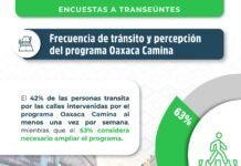 63% de transeúntes considera necesario ampliar “Oaxaca Camina”